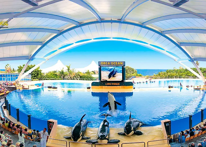 מלון Adonis Capital 2*