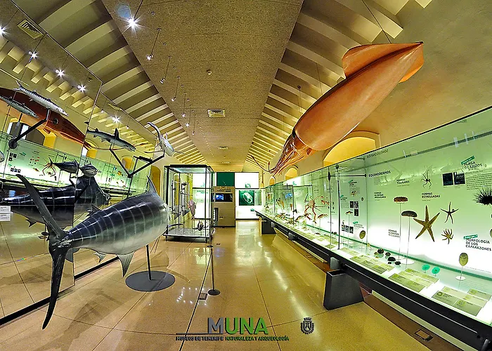 מלון Adonis Capital