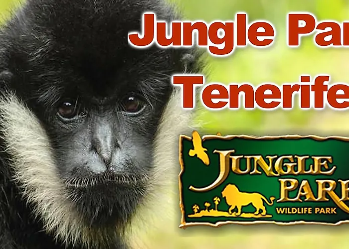 מלון Adonis Capital 2*