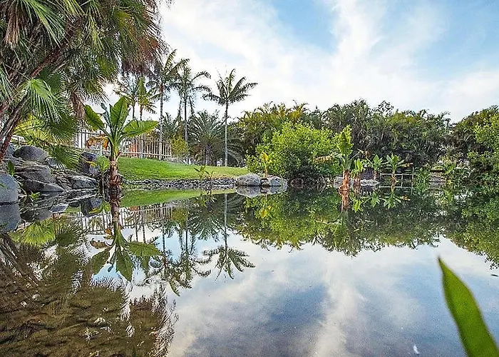 מלון Adonis Capital סנטה קרוז דה טנריף